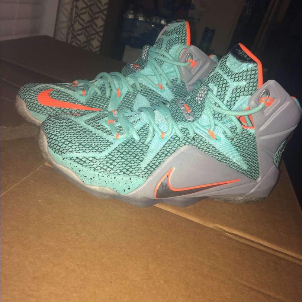 Lebron 11s
