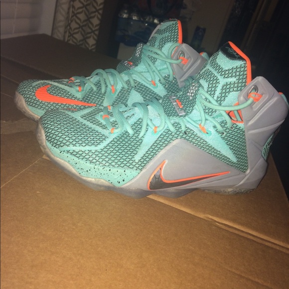 Lebron 11s - Picture 1 of 5