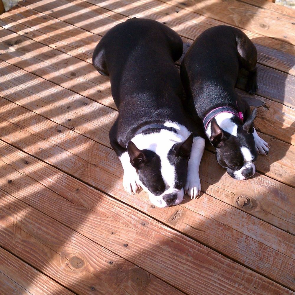 Meet your Posher, Tami