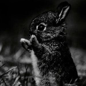 Meet your Posher, Luke