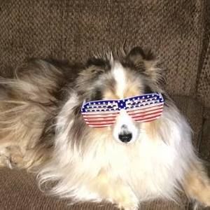 Meet your Posher, Wendy