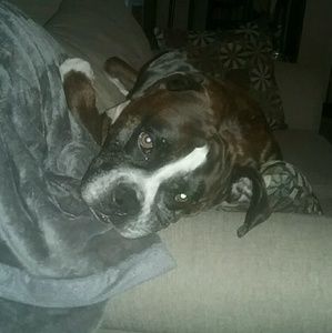 Meet your Posher, Michel