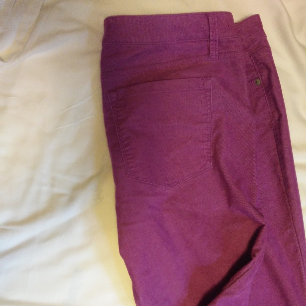 Ann Taylor LOFT Modern Straight Cords 32/14