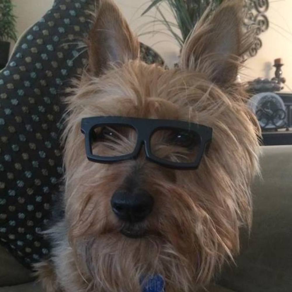 Meet your Posher, Jeff n monique