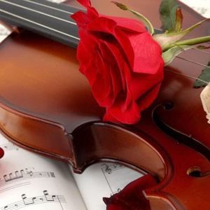 Meet your Posher, Ashok