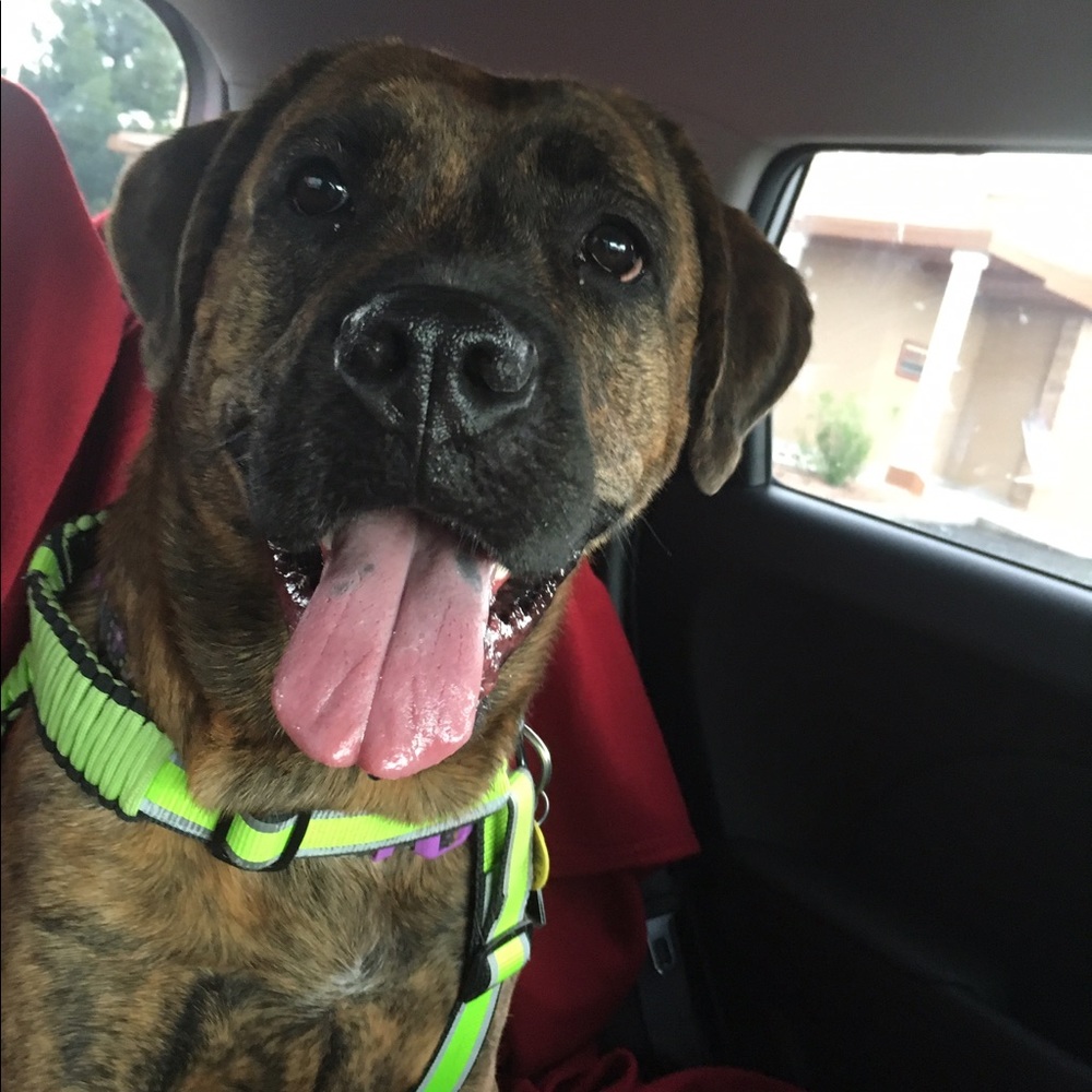 Meet your Posher, Jojo