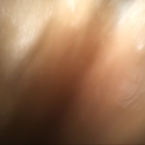 Meet your Posher, Deb