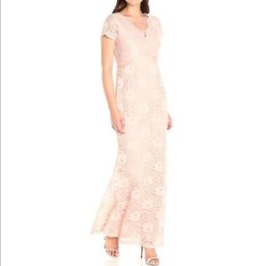 Ellen Tracy blush lace gown
