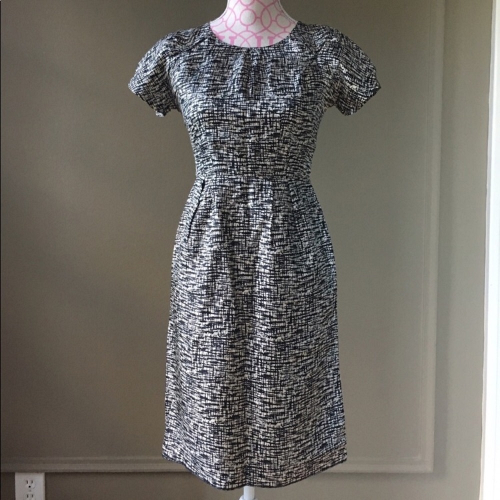 Petite Banana Republic Dress