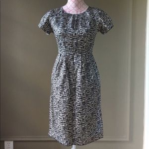 Petite Banana Republic Dress