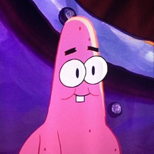 Meet your Posher, Joey