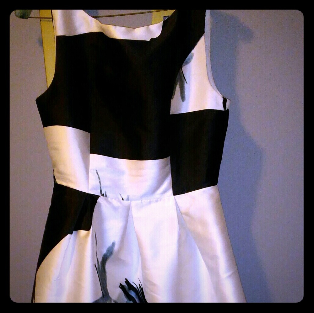 Tea length dress worn once