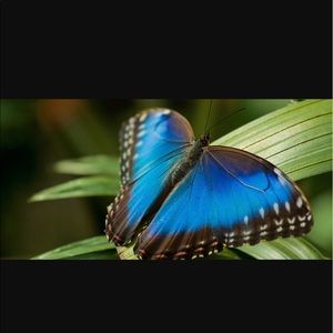 Meet your Posher, Luz