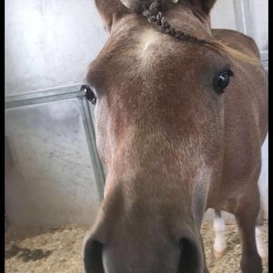 Meet your Posher, Colton