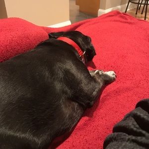 Meet your Posher, Jon