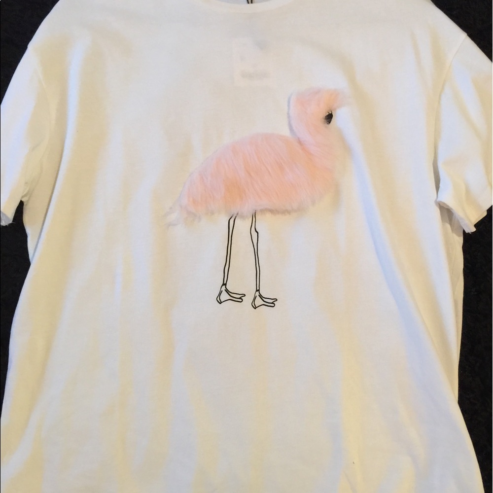 Zara fury Flamingo tee shirt