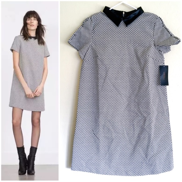 Zara Dresses & Skirts - ZARA dress