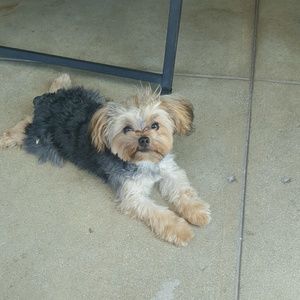 Meet your Posher, Seth