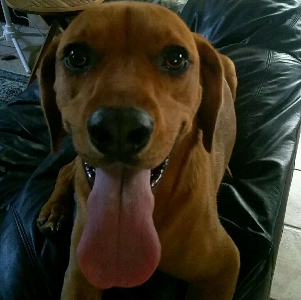 Meet your Posher, Audrey