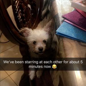 Meet your Posher, Lorena