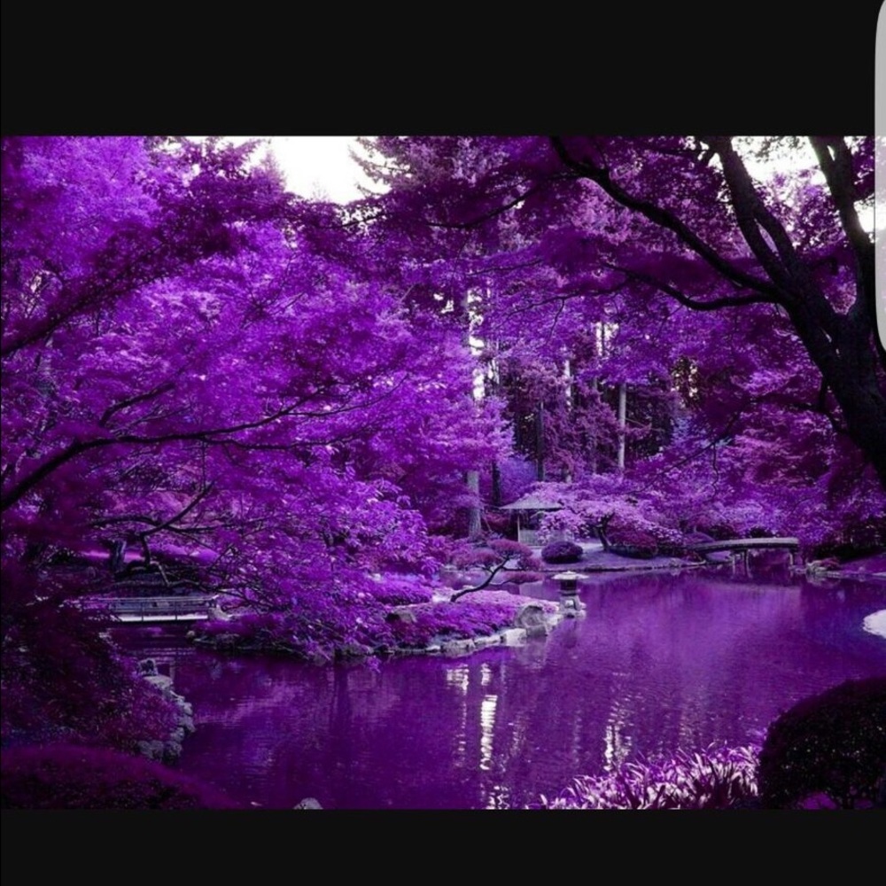 Meet your Posher, Dorit