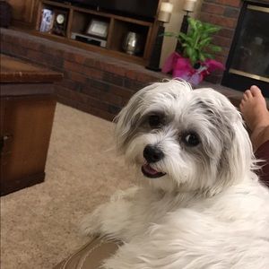 Meet your Posher, Austin