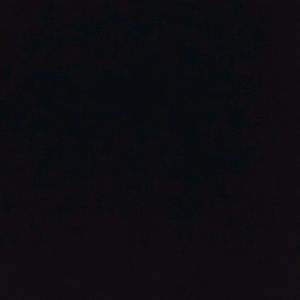 Meet your Posher, Jamo