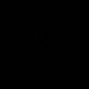 Meet your Posher, Rhonda