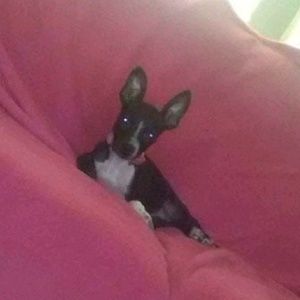 Meet your Posher, Mary