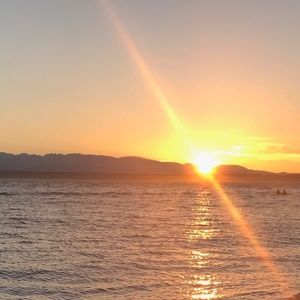 Meet your Posher, Scott