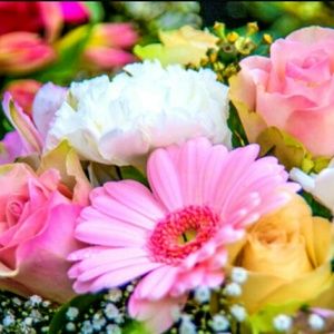 Meet your Posher, Umm