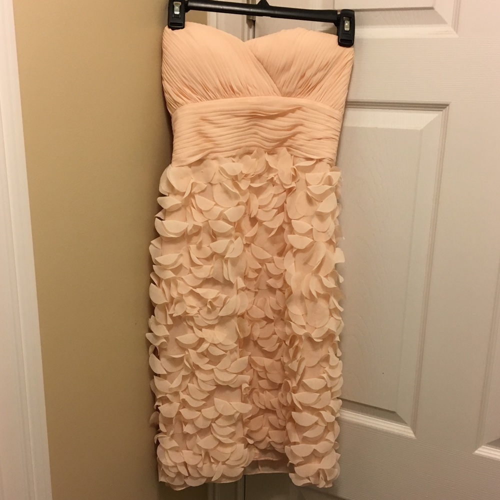 JS Blush Pink Petal Dress