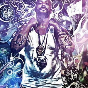 Meet your Posher, Roy