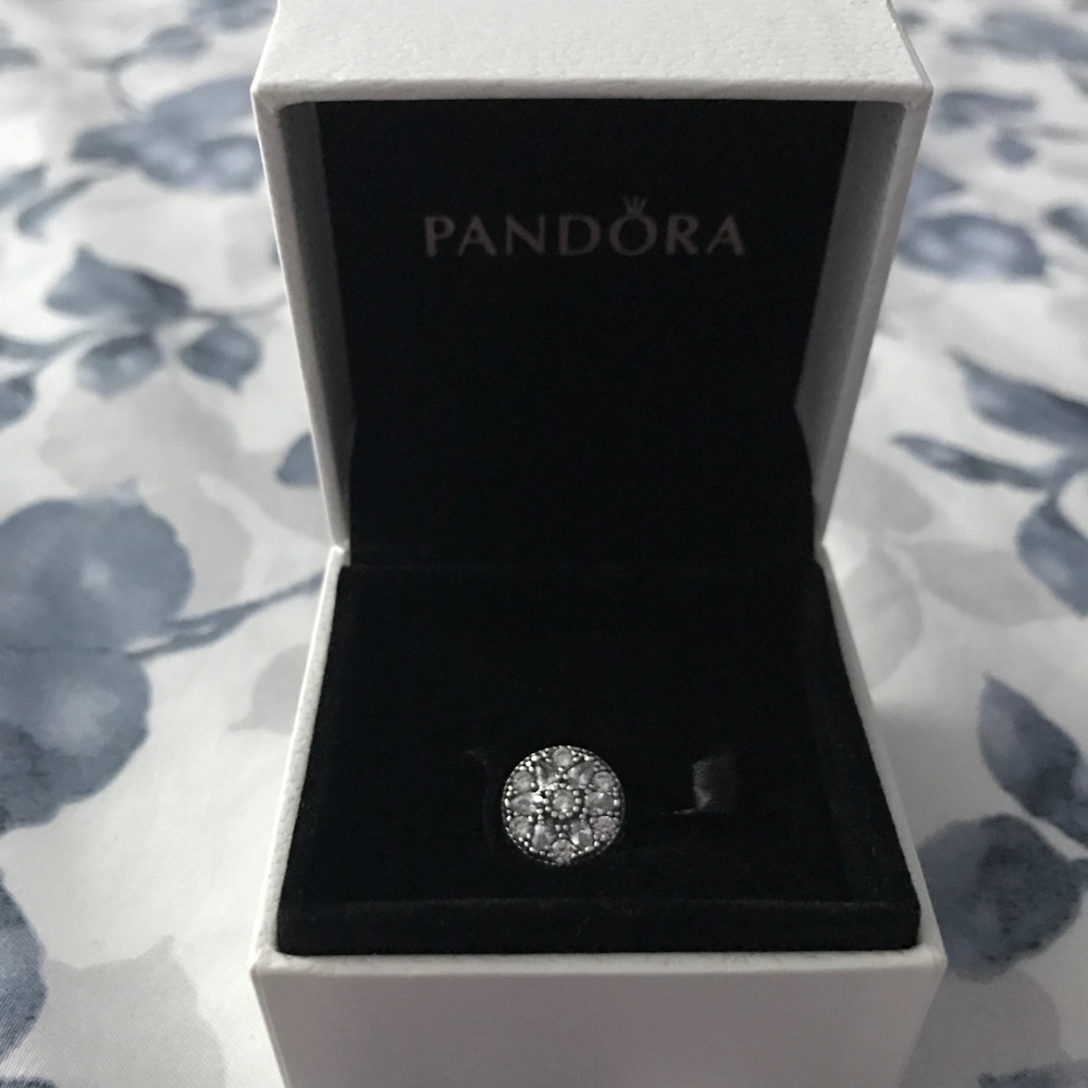 Pandora Charm