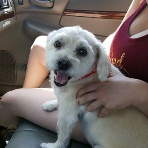 Meet your Posher, Tammy