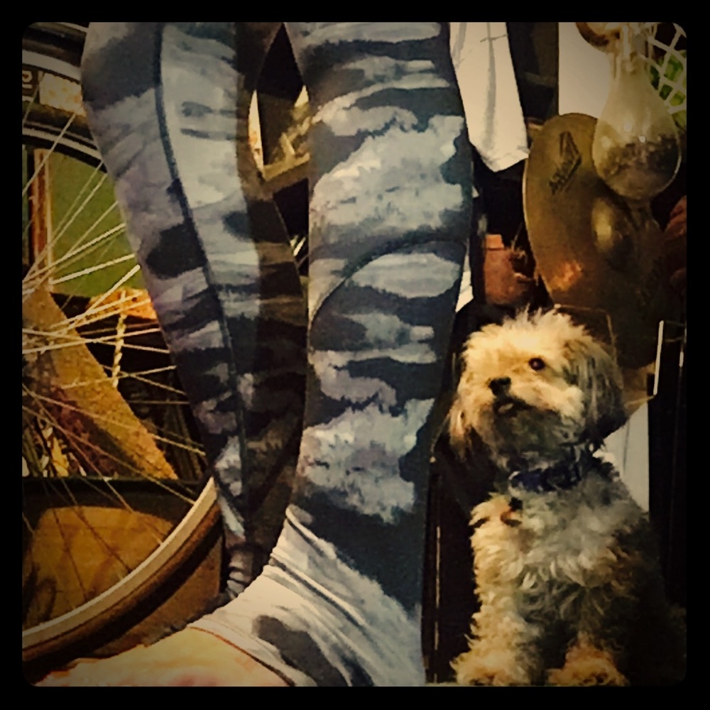 North face running or hiking spandex pants