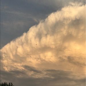 Meet your Posher, Alicia