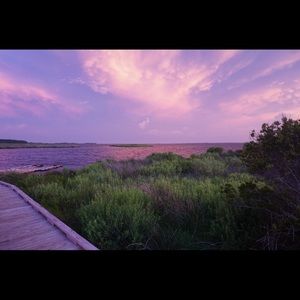 Meet your Posher, Liz