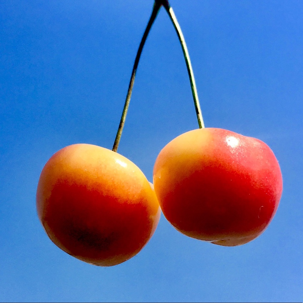 Meet your Posher, Erika