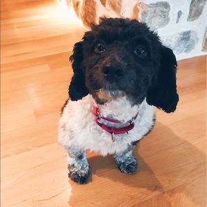 Meet your Posher, Erin