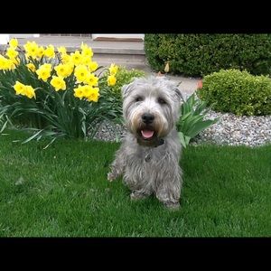 Meet your Posher, Ann