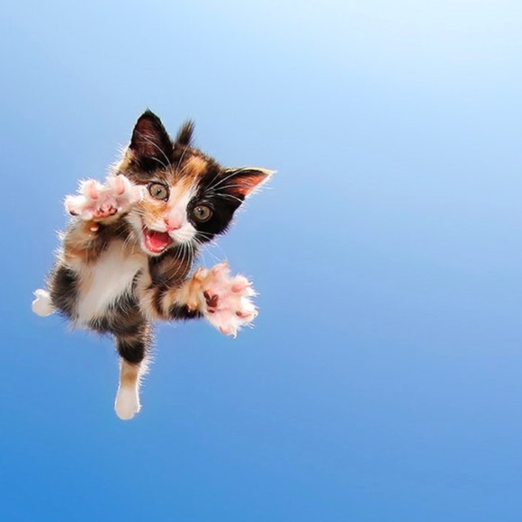 Let Your YOU Out! 😛 - Picture 2 of 3