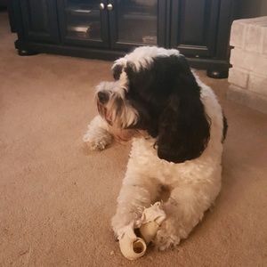 Meet your Posher, John