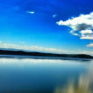 Meet your Posher, Ella