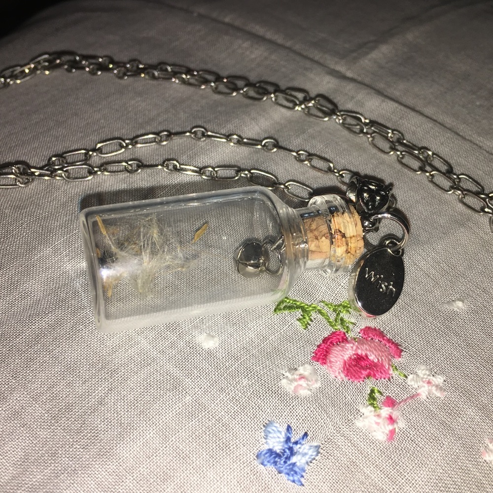 Wish Jar 🗝 20" Sterling Chain