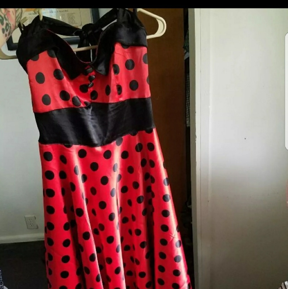 Vera pin up swing dress