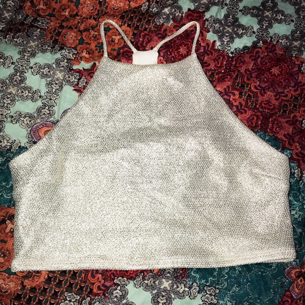 Silver shimmery halter crop top
