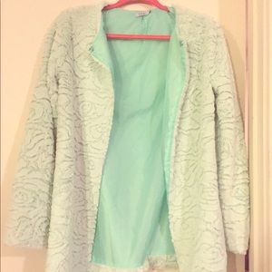 Mint Green Faux Fur Jacket