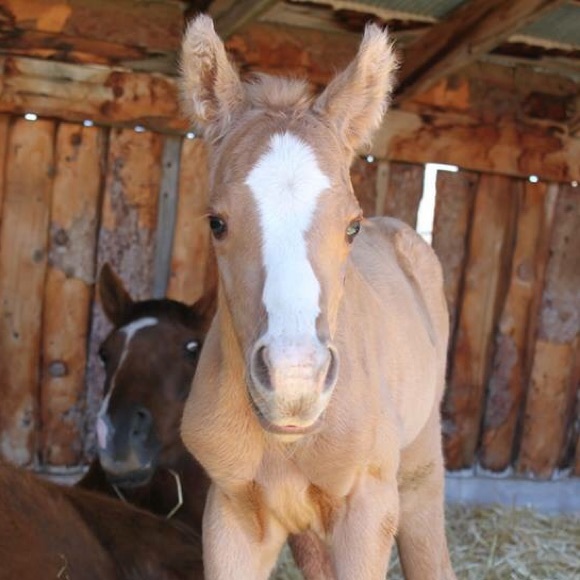 Meet your Posher, Kate - Picture 2 of 2