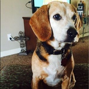 Meet your Posher, Christie